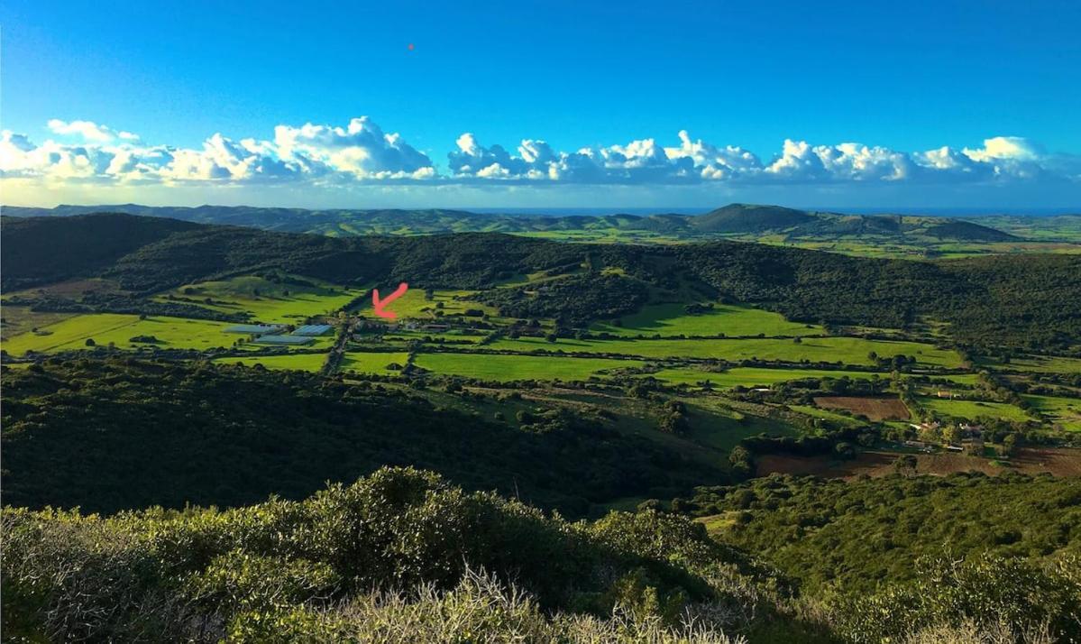 Campanedda Agriturismo Cuile Querce 아파트 외부 사진